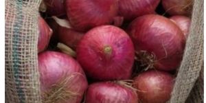 Natural Red Onion