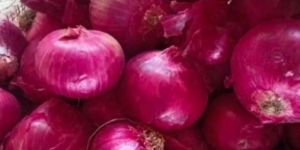 Red Onion