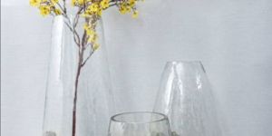 Transparent Glass Flower Vase
