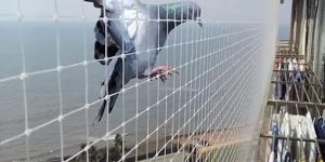 Pigeon Net for Balcony in Gurgaon