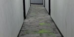 Micro Concrete Wall Services