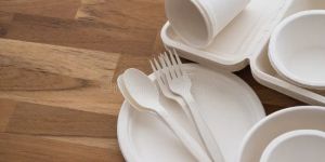Disposable Bagasse Plates