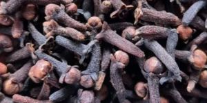 Dry Cloves