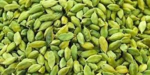 Green Cardamom
