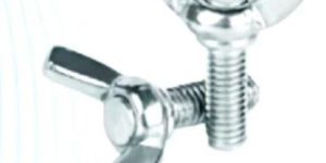 Stainless Steel Wing Bolts