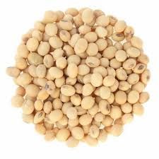 Dry Soybean