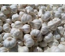 Fresh Ooty Garlic