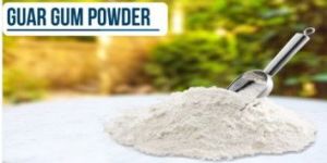 Guar Gum Powder