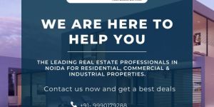 Real Estate Consultant in Noida