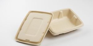 Sugarcane Bagasse Plates