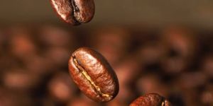 Arabica Coffee Beans