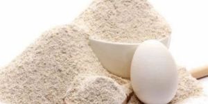 Egg Powder