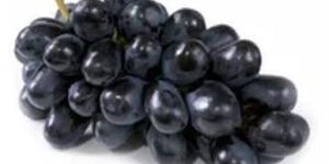 Seedless Black Grapes