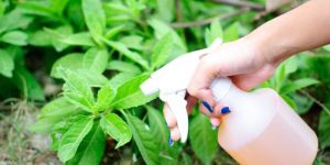 Liquid Organic Pesticides