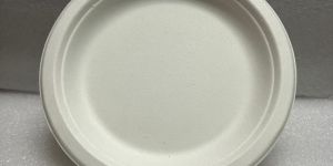 Sugarcane Bagasse Pulp Plate