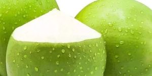 Green Tender Coconut