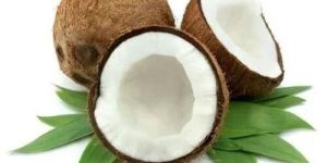Natural Coconut