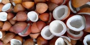 Natural Coconut Copra