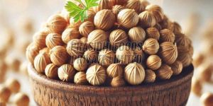 Coriander Seed