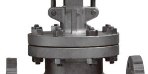 Globe Valve