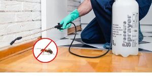 Ants Control Services