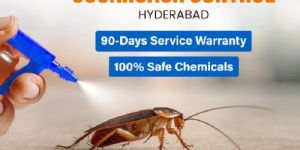 Cockroach Control Services