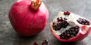 Fresh Organic Pomegranates