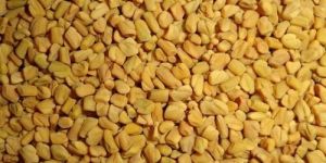 Fenugreek Seed