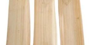 Kashmir Willow Cricket Bat