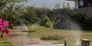 Drip Sprinkler System