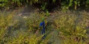 Garden Water Supply System