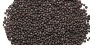 Black Mustard Seeds