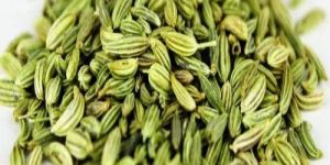 Fennel Seeds
