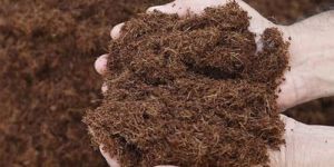 Coco Peat Powder