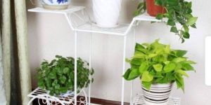 Cart Flower Pot Stand
