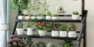 Multiple Flower Pot Stand