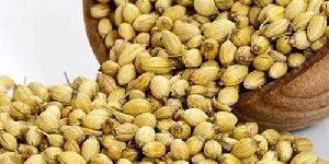 Coriander Seeds