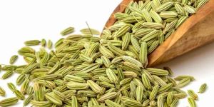 Fennel Seeds