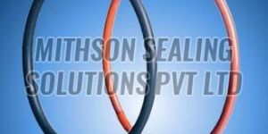 Encapsulated O Rings