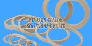 Gate Valve Seat Seals