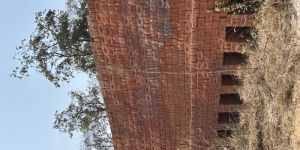 Clay Interlocking Bricks