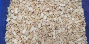 SSPI Cashew Nuts