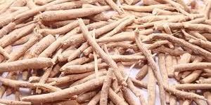 Ashwagandha Root