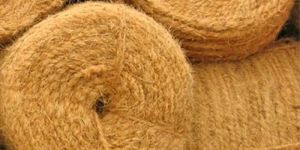 Bristle Coir Fiber