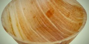 Disposable Areca Leaf Bowl