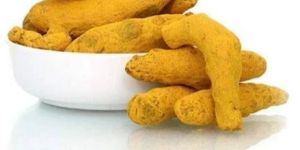Dried Turmeric Finger