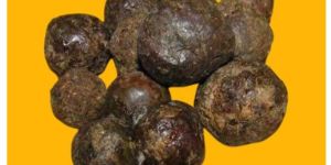 Bee Propolis