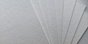 Bleached Softwood Kraft Pulp