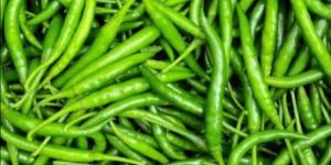 Green Chilli