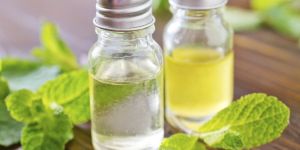 Mentha Oil